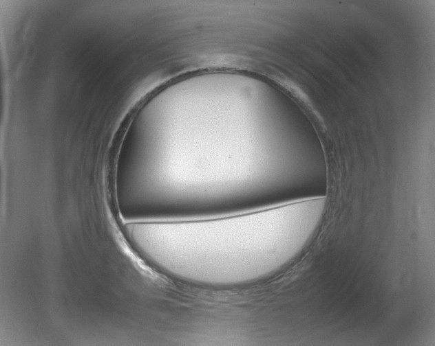 X0000082150991200701191019