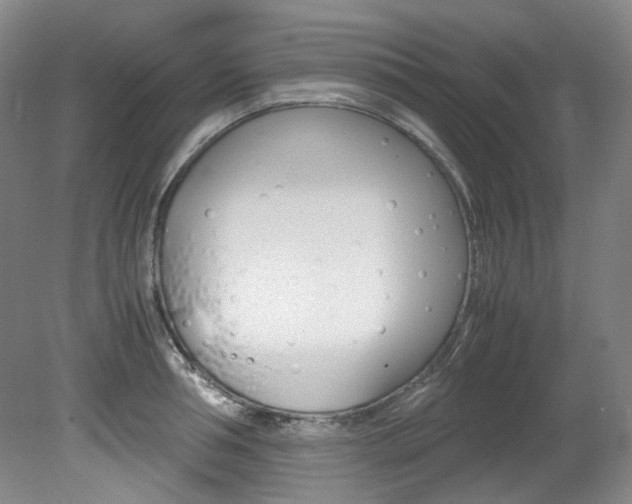 X0000082150994200701191019