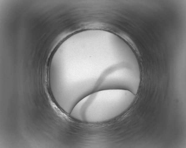 X0000082151000200701191019