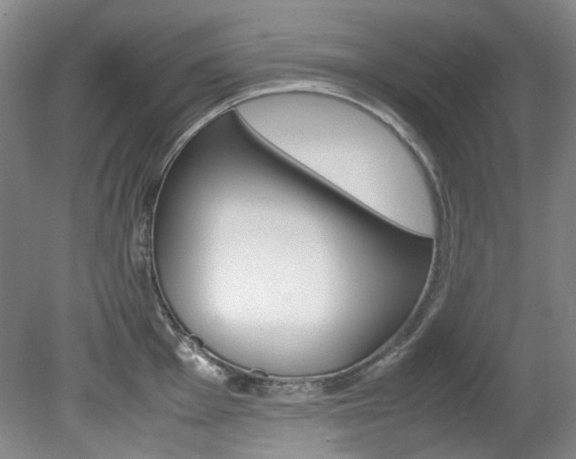 X0000082151001200701191019