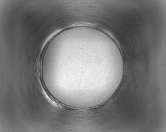 X0000082151003200701191019
