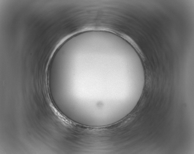 X0000082151004200701191019
