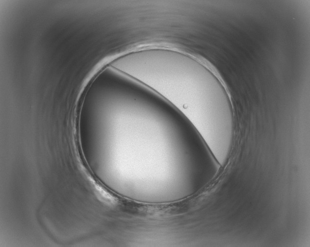 X0000082151005200701191019