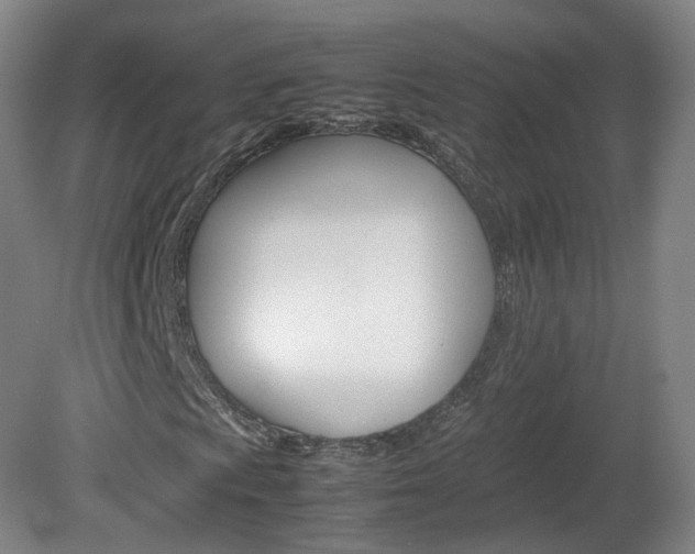 X0000082151009200701191018