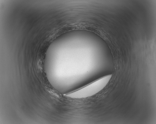 X0000082151010200701191018