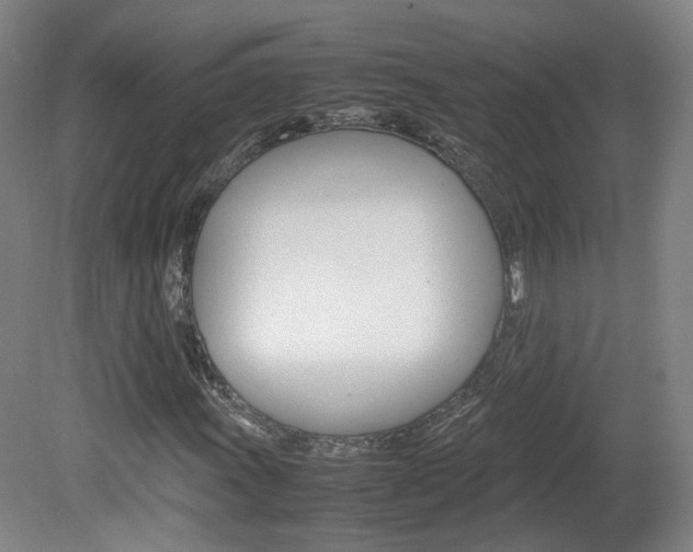 X0000082151011200701191018