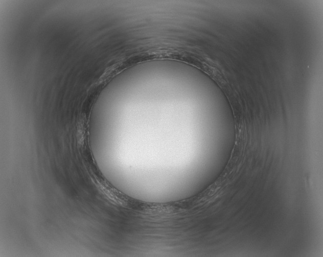 X0000082151012200701191018