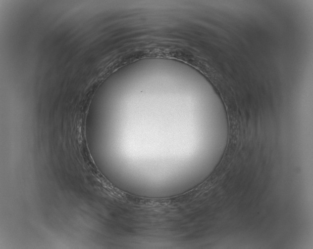 X0000082151013200701191018