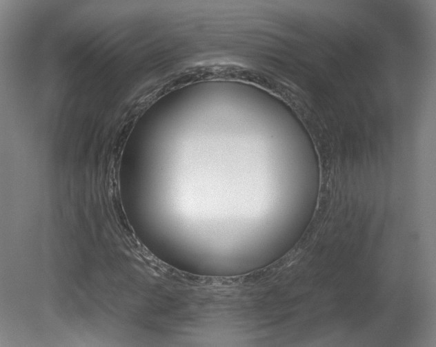 X0000082151014200701191018
