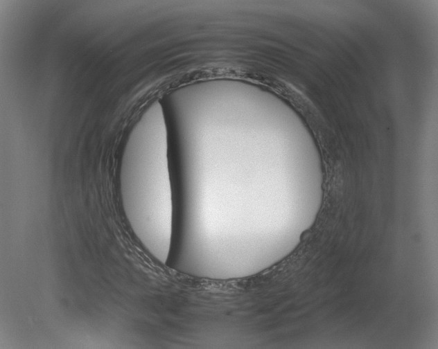 X0000082151015200701191018