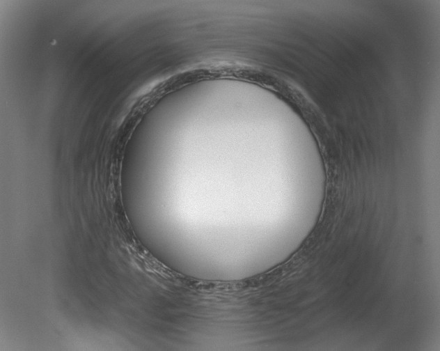 X0000082151016200701191018