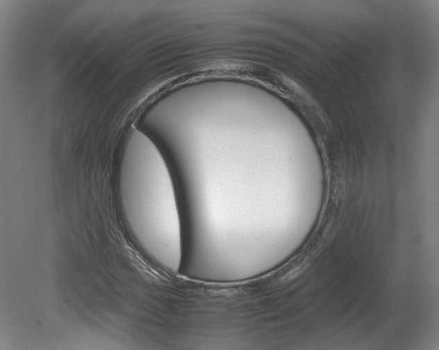 X0000082151017200701191018