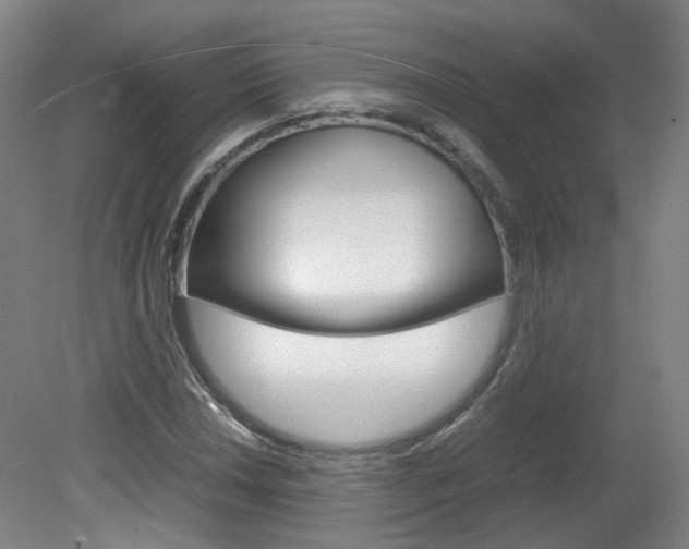 X0000082151018200701191018