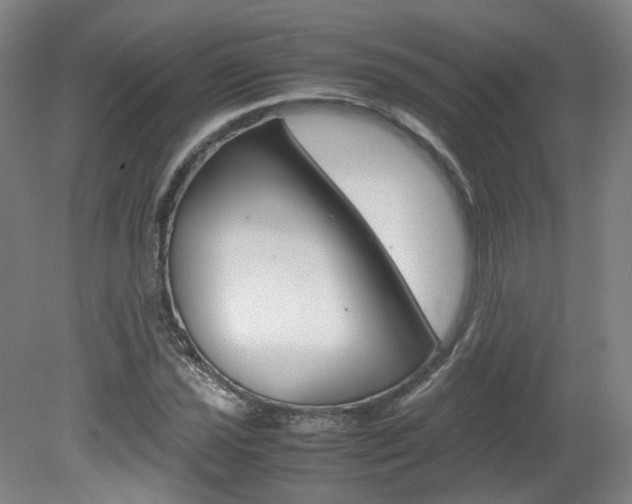 X0000082151021200701191018