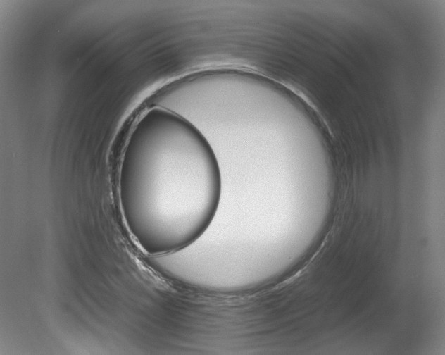 X0000082151022200701191018