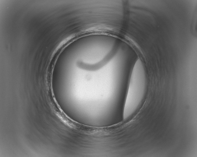 X0000082151026200701191018