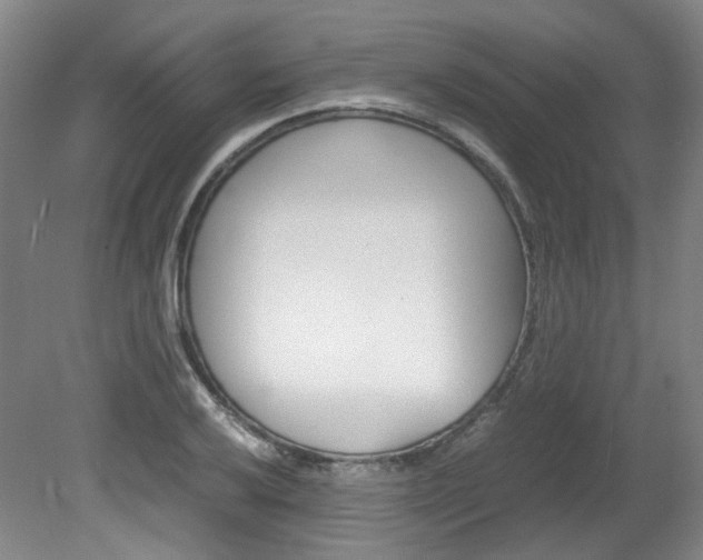 X0000082151032200701191018