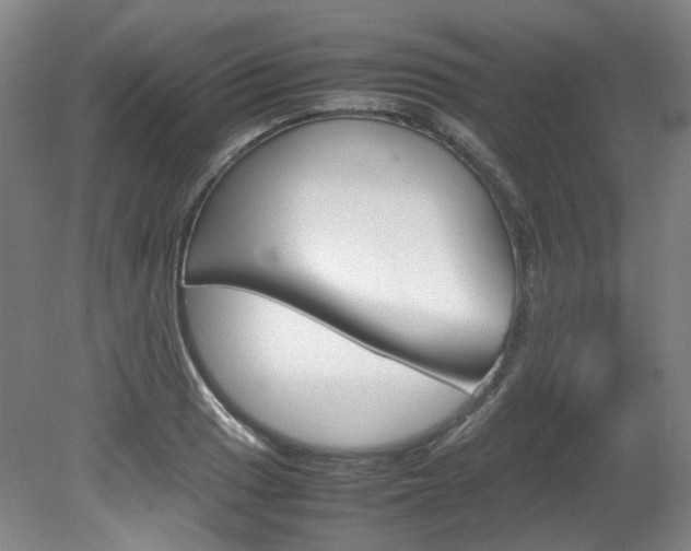X0000082151033200701191018