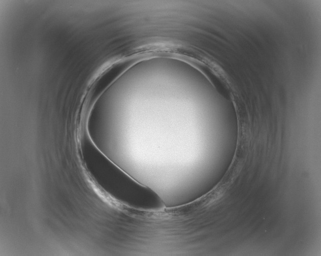 X0000082151034200701191018