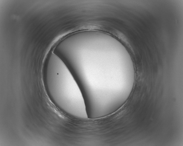 X0000082151035200701191018