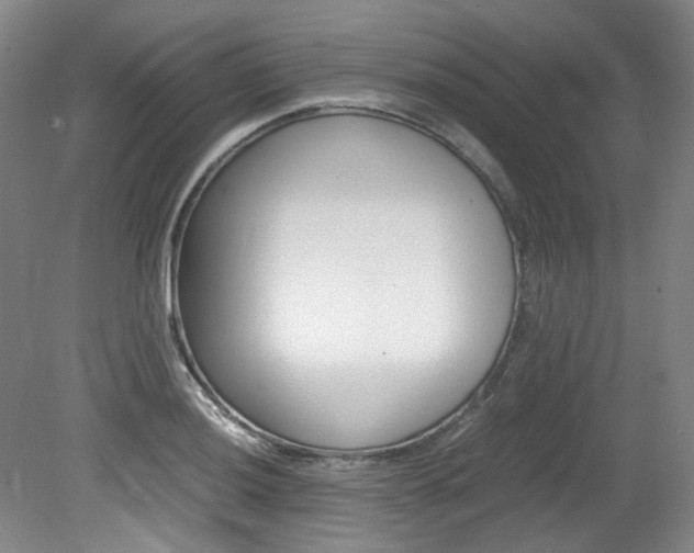 X0000082151036200701191018