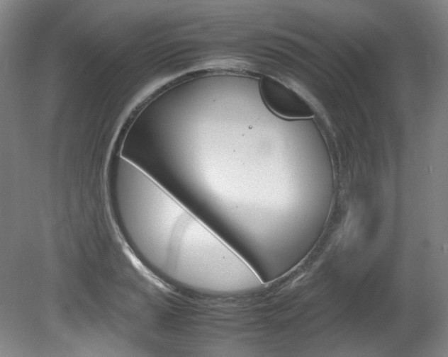 X0000082151037200701191018