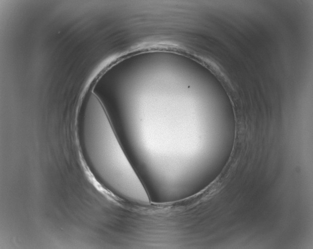 X0000082151038200701191018