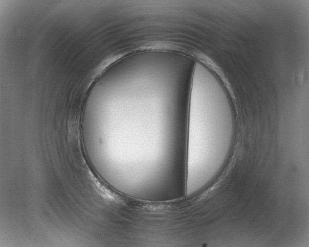 X0000082151041200701191018