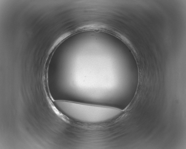X0000082151042200701191018