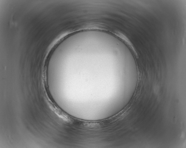 X0000082151043200701191018