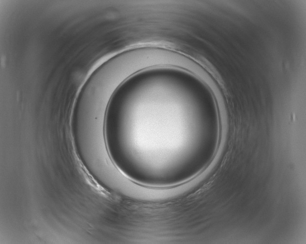 X0000082151044200701191018
