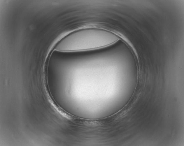 X0000082151045200701191018