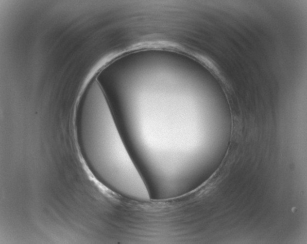 X0000082151046200701191018