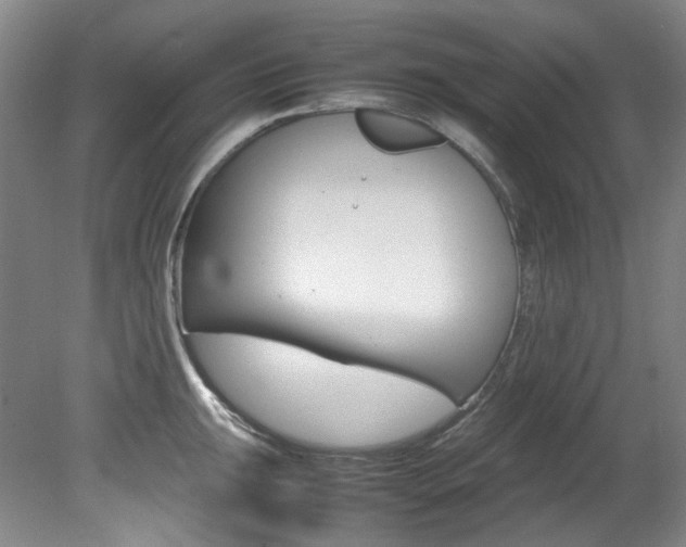 X0000082151047200701191018