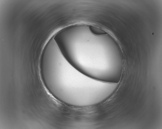X0000082151048200701191018