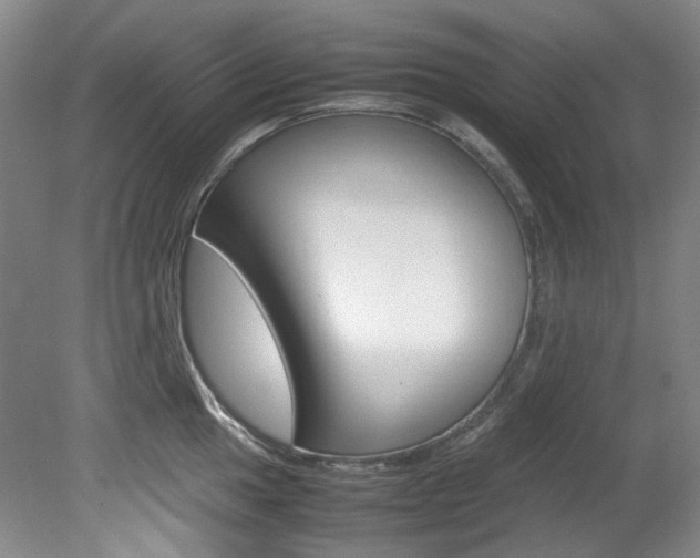 X0000082151049200701191018