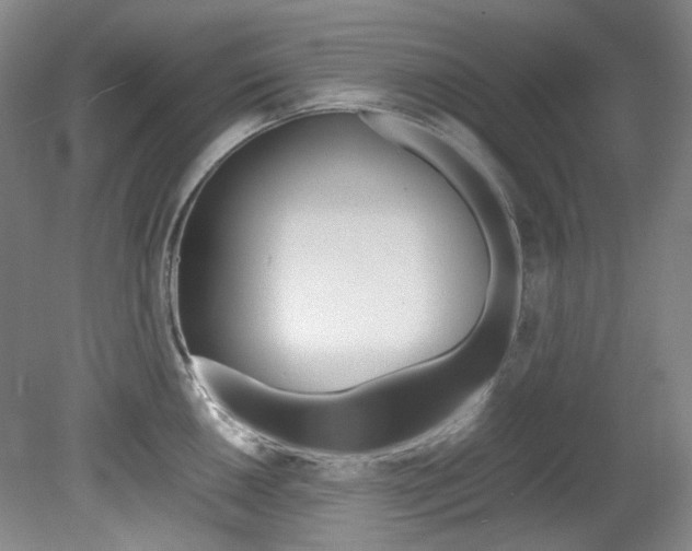 X0000082151050200701191018