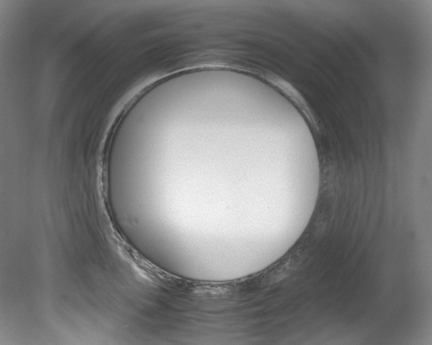 X0000082151051200701191018