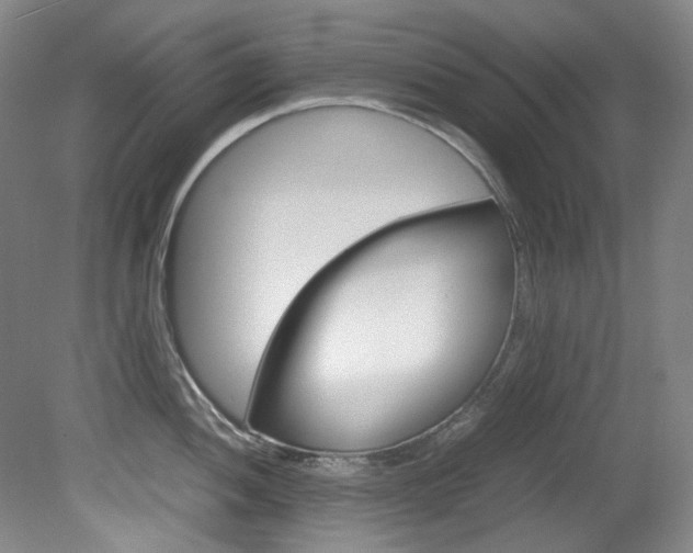 X0000082151052200701191018