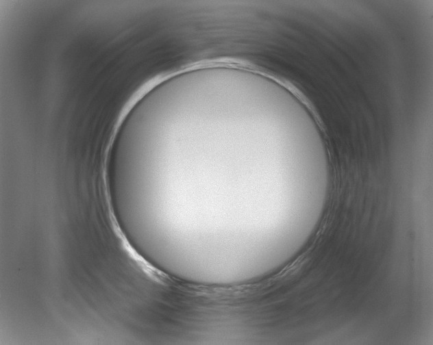 X0000082151054200701191018