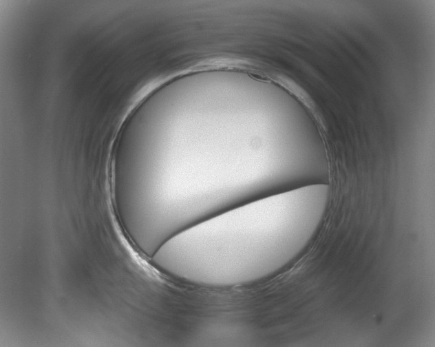 X0000082151055200701191019