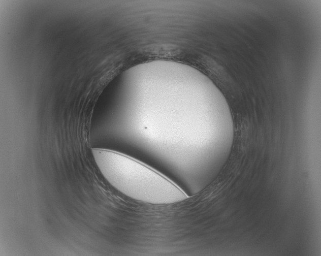 X0000082151058200701191018