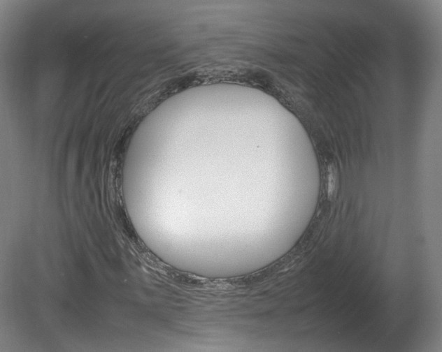 X0000082151059200701191018