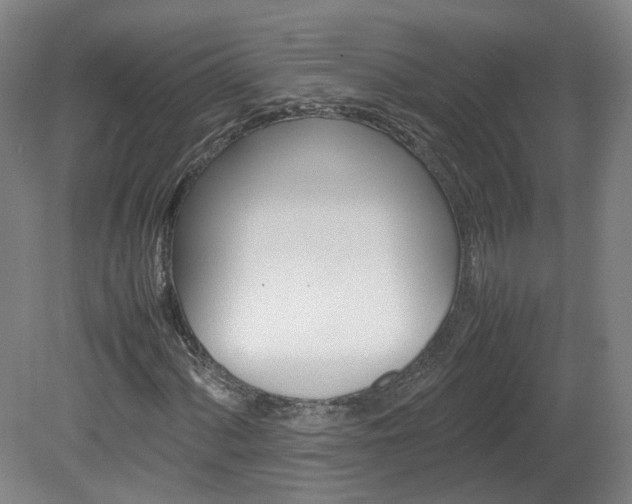 X0000082151060200701191018