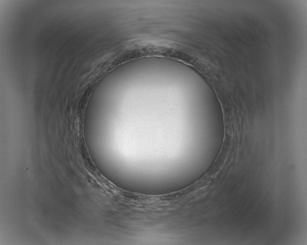 X0000082151061200701191018