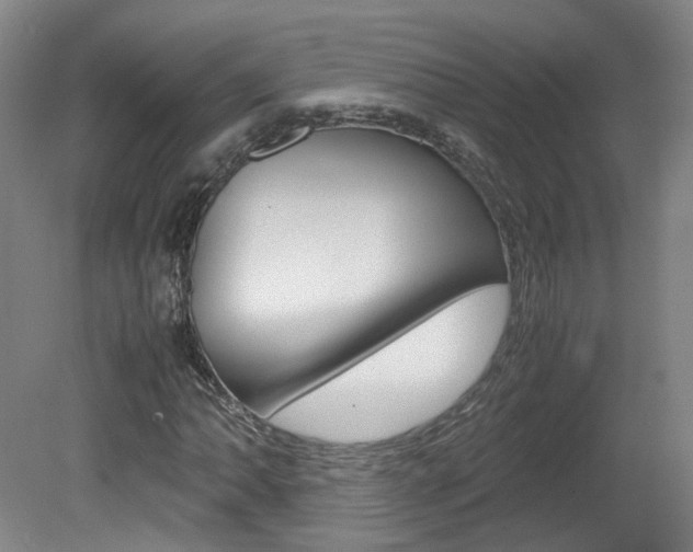 X0000082151062200701191018