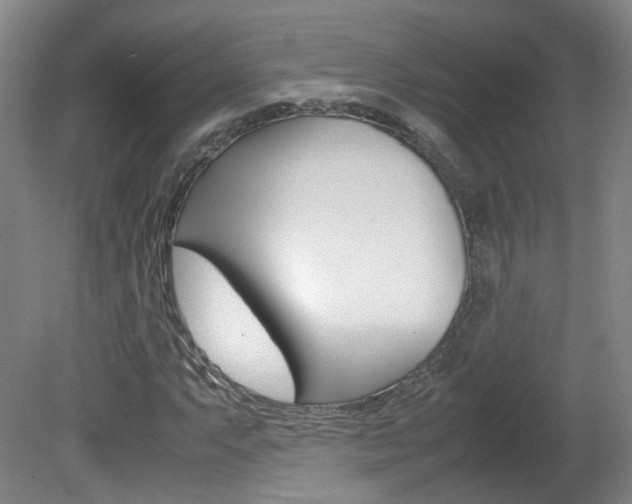 X0000082151063200701191018