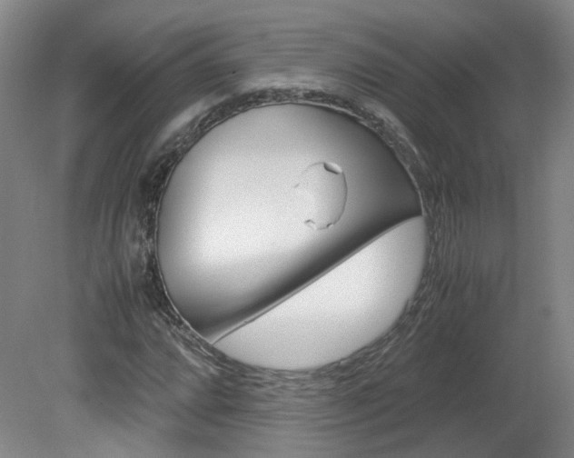 X0000082151064200701191018