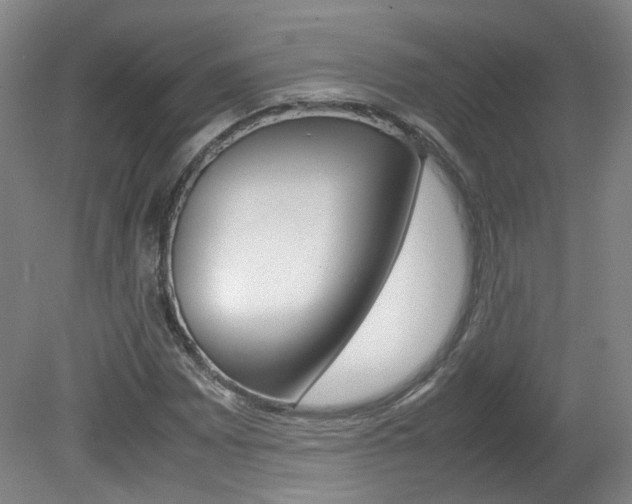 X0000082151065200701191018
