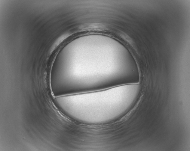 X0000082151066200701191018